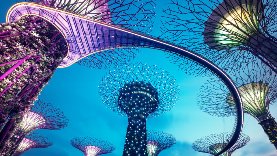 Gestire il futuro con le energie rinnovabili.